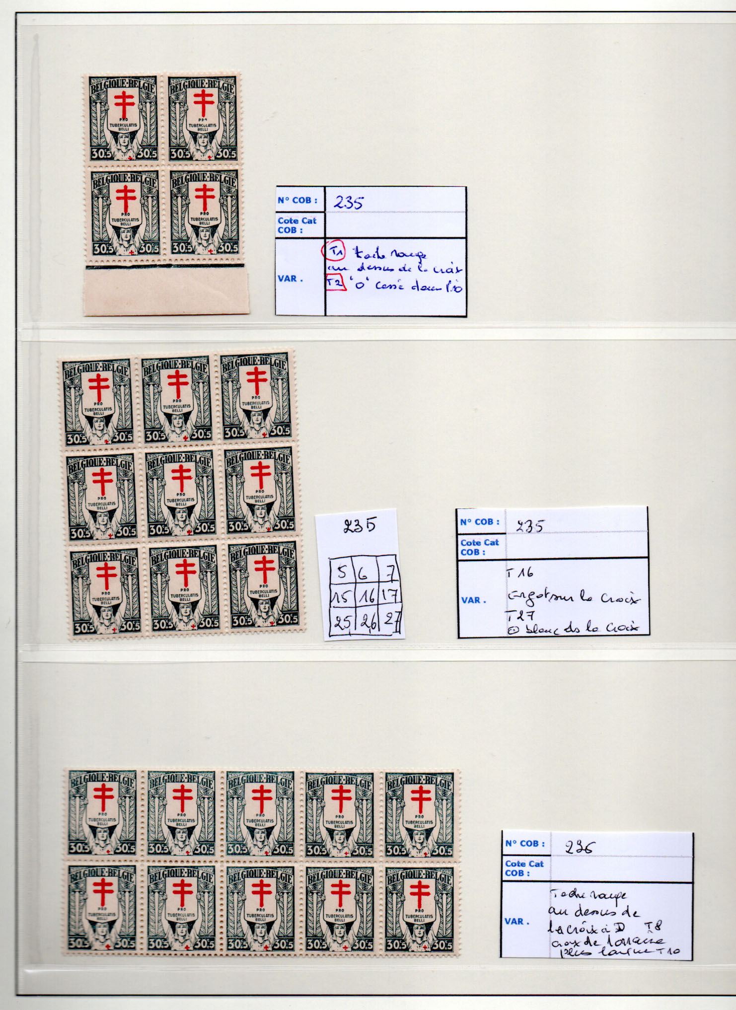 Belgique - 234/36** Petite Etude – Image 4