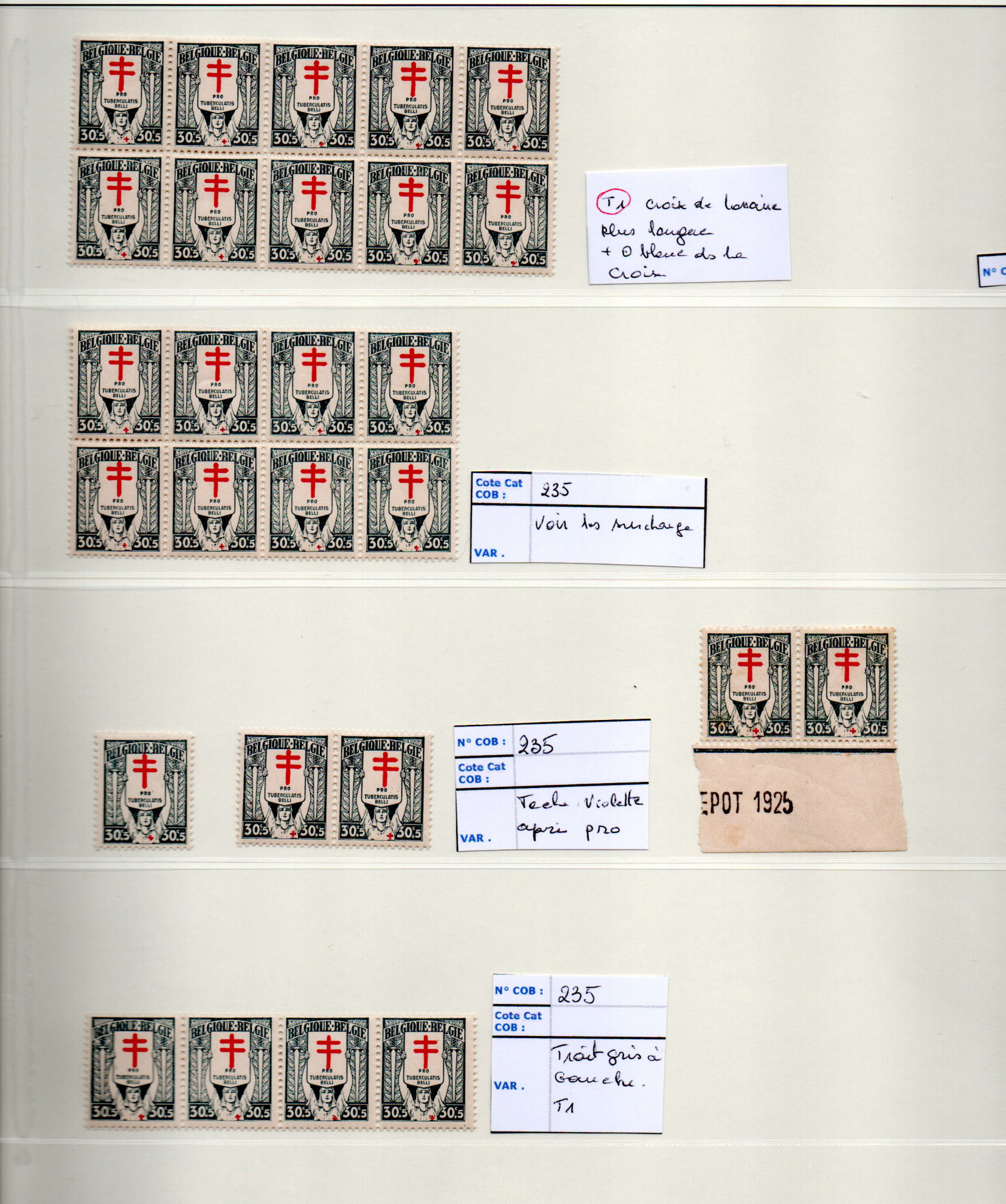 Belgique - 234/36** Petite Etude – Image 3