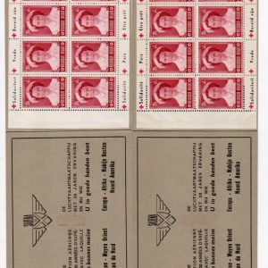 Belgique - Carnet 914A/B