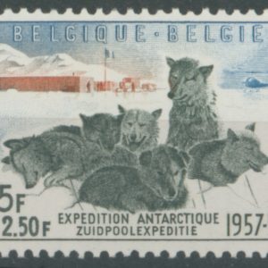 Belgique 1031**