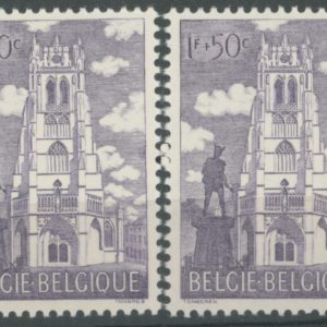Belgique 2x 1207** Variété