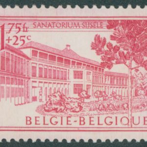 Belgique 838(*) Variété