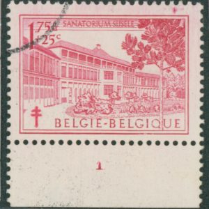 Belgique 838° Variété