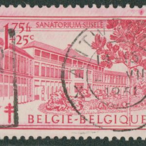 Belgique 838° Variété