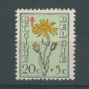 Belgique 814** Variété