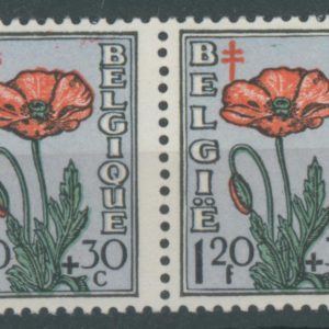 Belgique 817** Paire Variété
